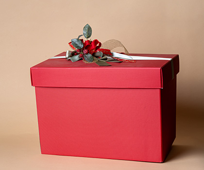 Linea Natale